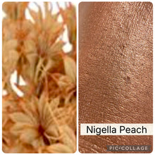 Load image into Gallery viewer, BLOOM Highlighter Creme