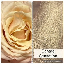 Load image into Gallery viewer, BLOOM Highlighter Creme