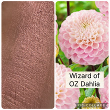 Load image into Gallery viewer, BLOOM Highlighter Creme