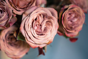 Rose Water Face Spray